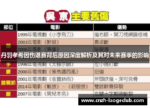 丹羽孝希因伤退赛背后原因深度解析及其对未来赛季的影响