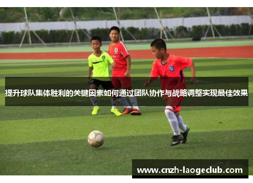 提升球队集体胜利的关键因素如何通过团队协作与战略调整实现最佳效果