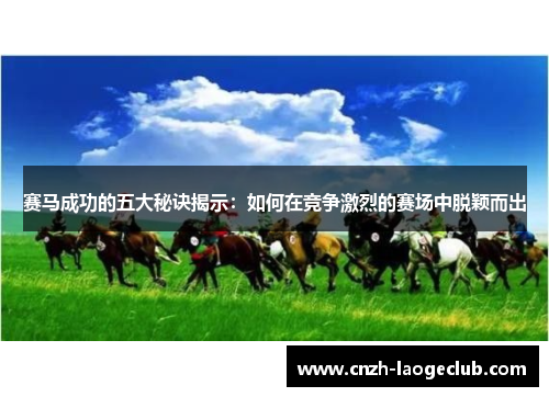 赛马成功的五大秘诀揭示：如何在竞争激烈的赛场中脱颖而出