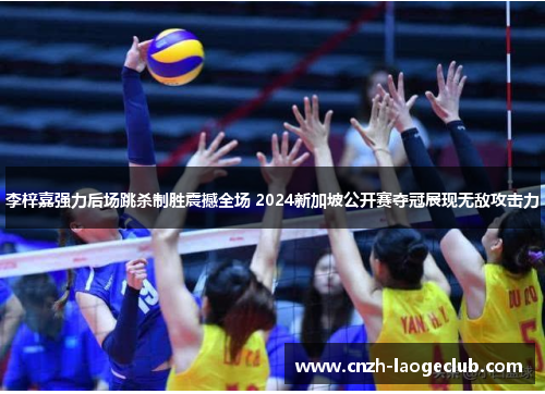 李梓嘉强力后场跳杀制胜震撼全场 2024新加坡公开赛夺冠展现无敌攻击力