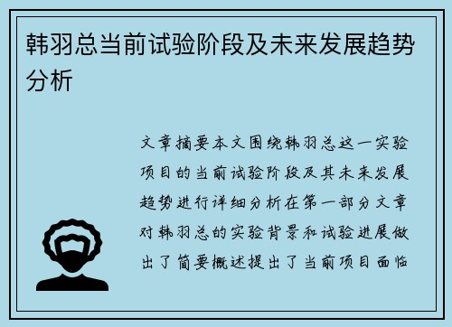 韩羽总当前试验阶段及未来发展趋势分析