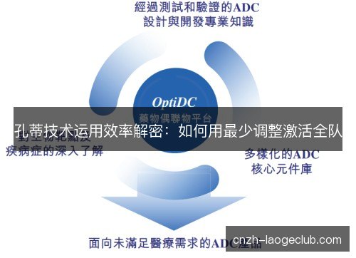孔蒂技术运用效率解密：如何用最少调整激活全队